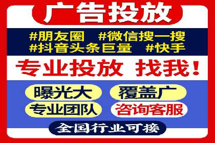 SEM广告投放策略：成功案例解析